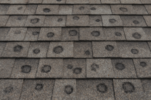 ChatGPT Image May 6, 2025, 12 45 36 PM ChatGPT Image May 6, 2025, 12 45 36 PM