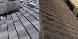 Employee Spotlight (11)