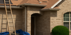 Employee Spotlight (12) Employee Spotlight (12)