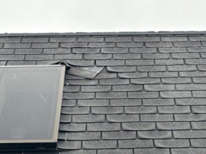 down net http20250417 117 pnv3nj