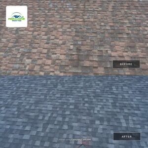 down net http20250417 132 kdyod down net http20250417 132 kdyod