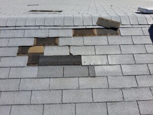 down net http20250616 73 8bap0y