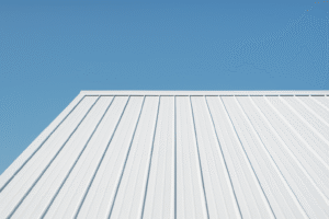 ChatGPT Image Nov 14, 2025, 09 00 36 AM ChatGPT Image Nov 14, 2025, 09 00 36 AM