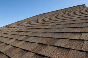 ChatGPT Image Nov 21, 2025, 09 23 25 AM ChatGPT Image Nov 21, 2025, 09 23 25 AM