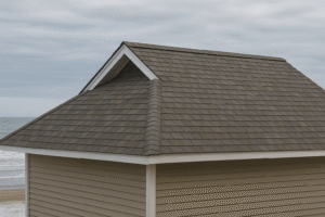 asphalt shingles reimagine roofing