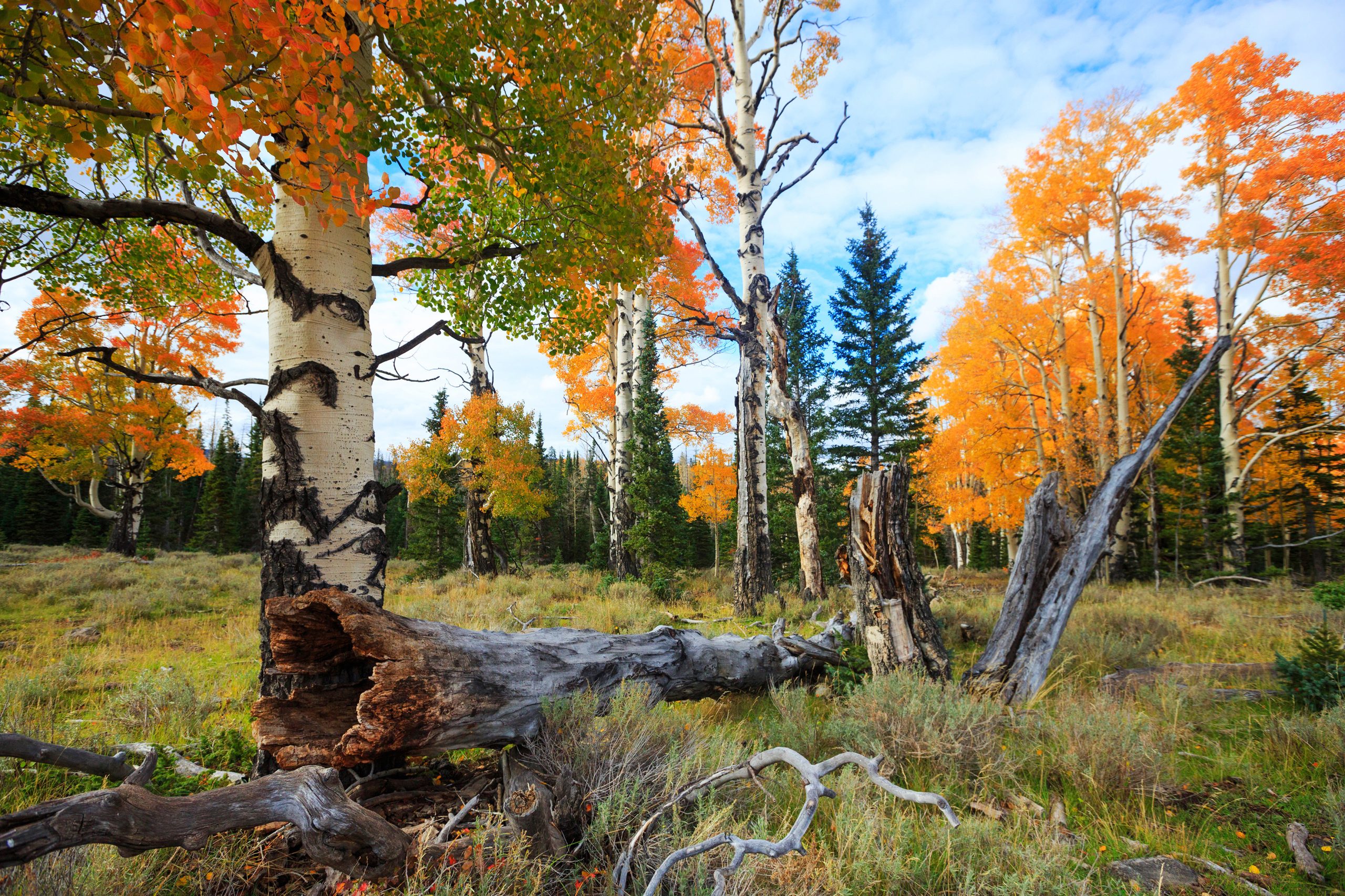 GettyImages-1094697286-scaled