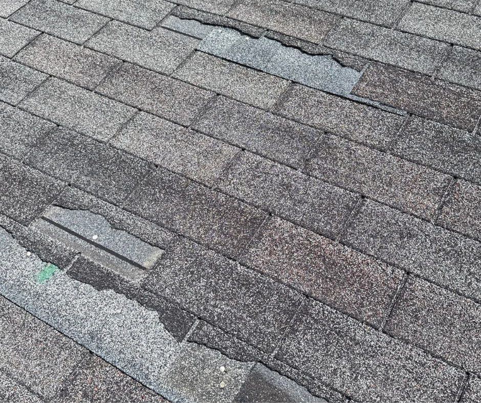 Green Modern Hello Spring Facebook Post (7)