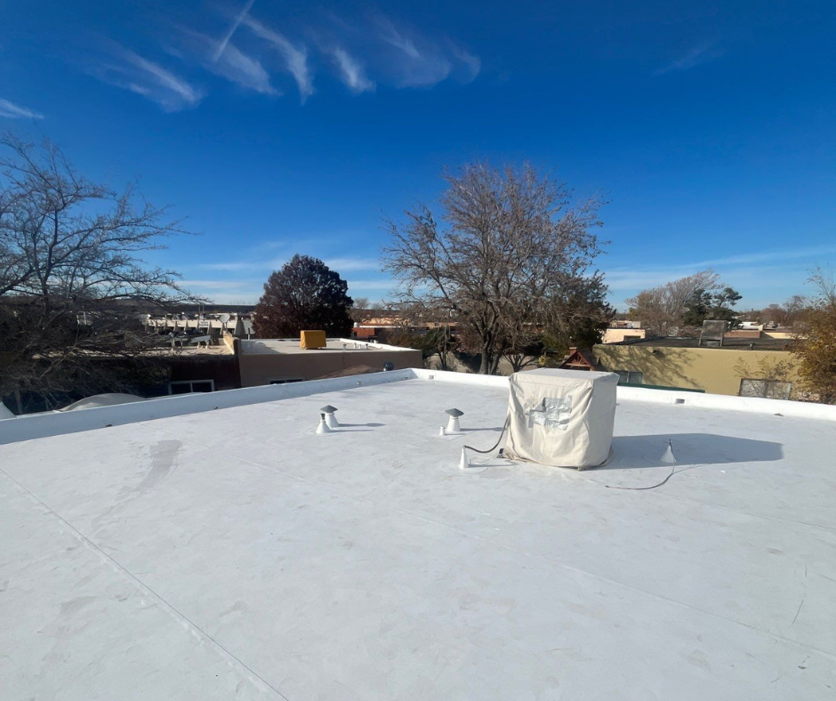 Untitled design (38)