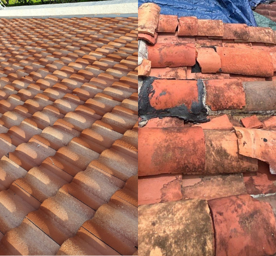 Untitled design (52)