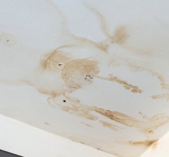 Untitled design (53)