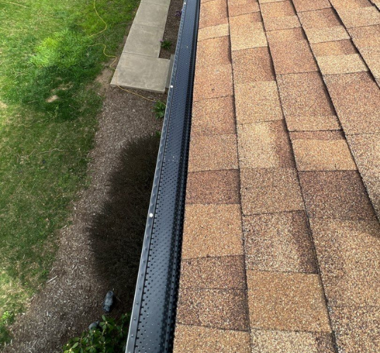 Untitled design (55)