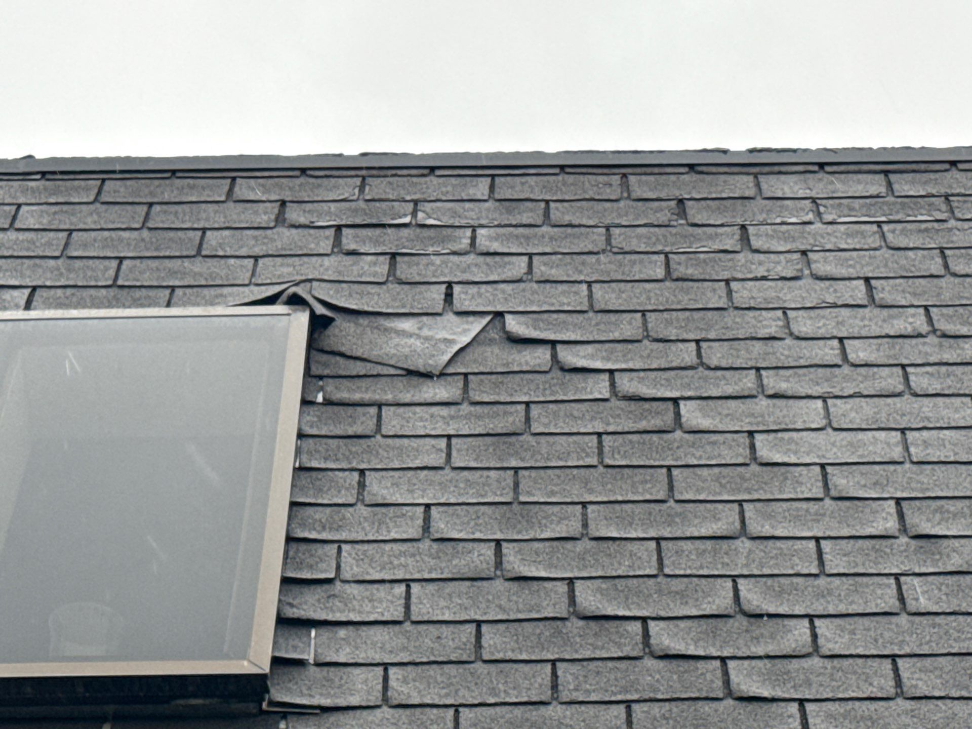 down net http20250417 117 pnv3nj