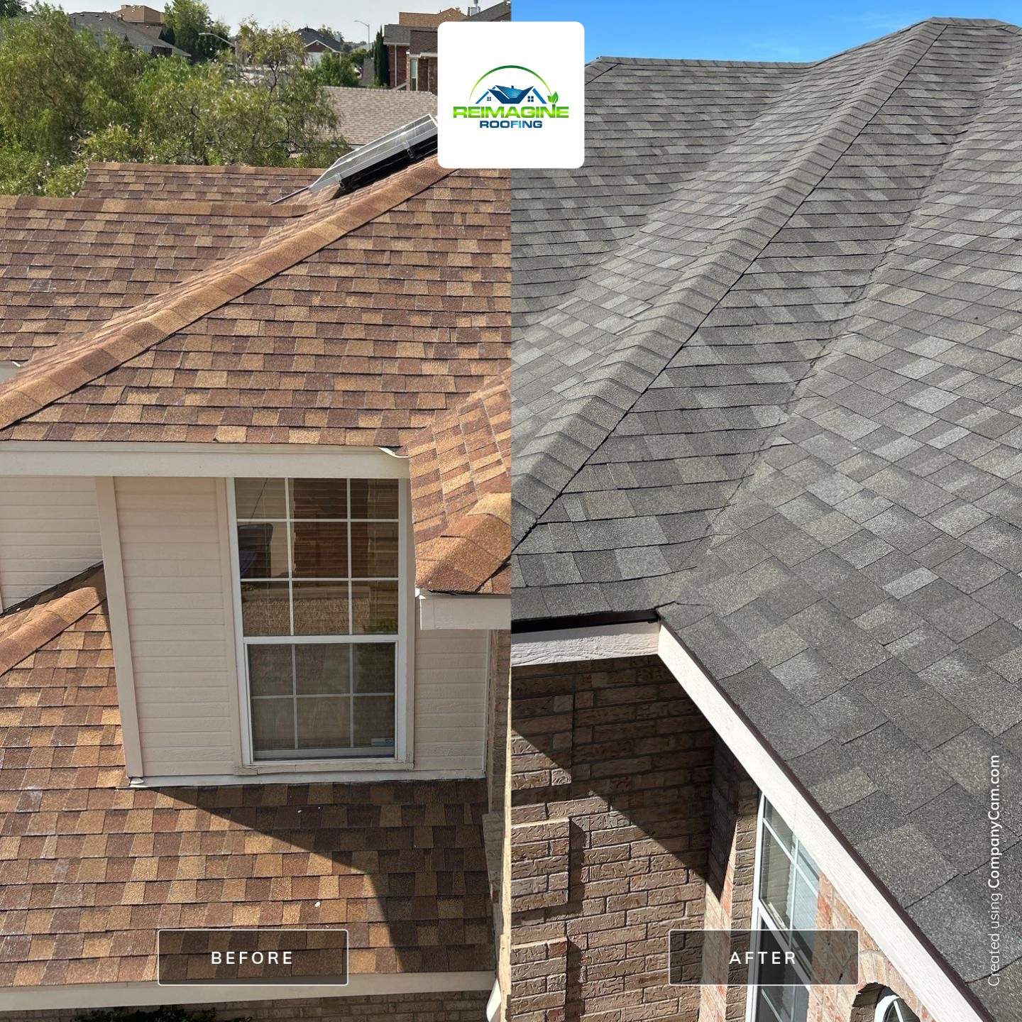 down net http20250424 152 19vzv7