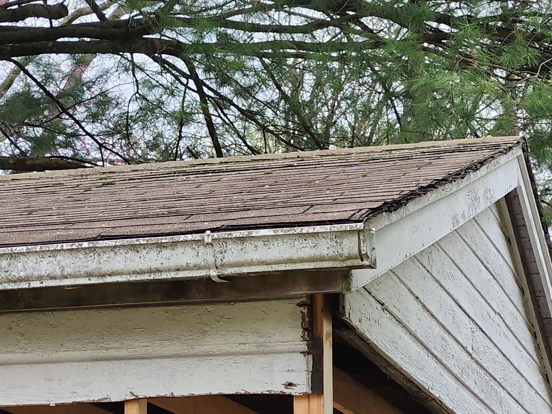 down net http20250529 132 gdcccy