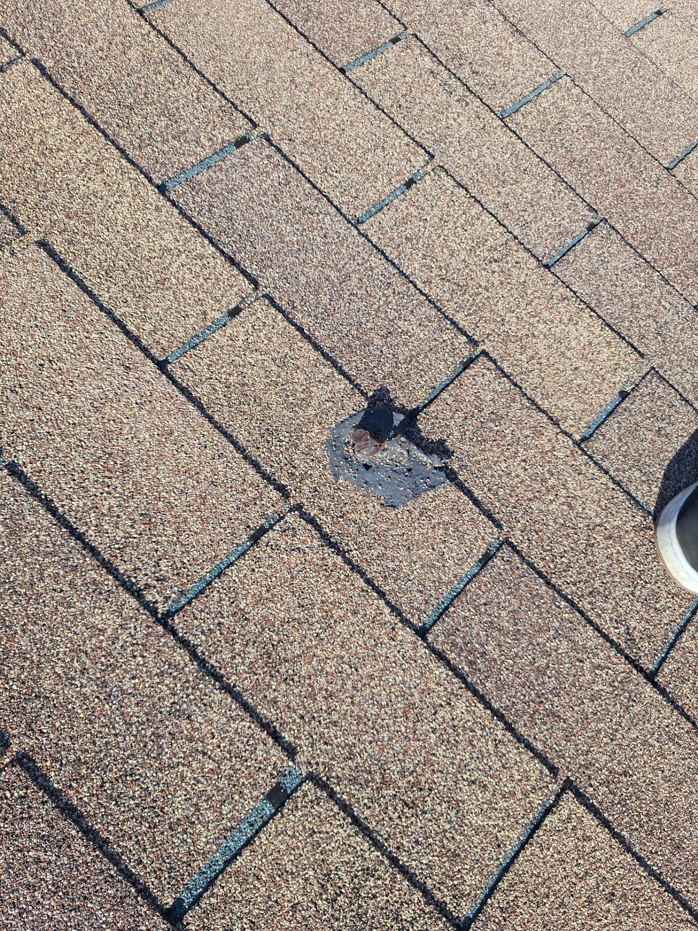 down net http20250623 104 qjpe04