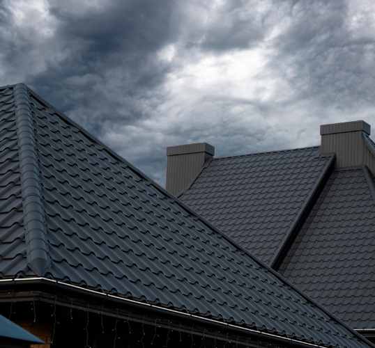 Untitled design (58)