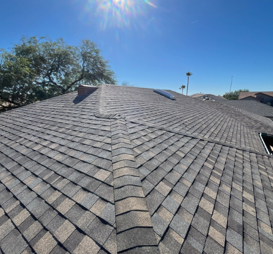 Untitled design (63)